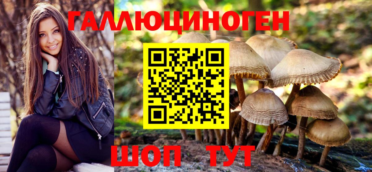 Галлюциногенные грибы мицелий  Вход с VPN  наркошоп  Протвино 